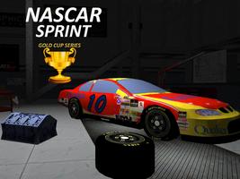 Nascar Sprint Gold Cup 3D Affiche