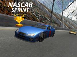 Nascar Sprint Gold Cup 3D capture d'écran 1