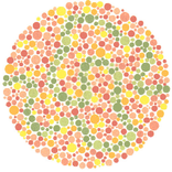 Color Blindness Test