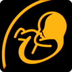 Obstetrícia Mary Lite