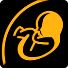 Obstetrícia Mary Lite icône