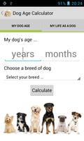 Dog Age Calculator پوسٹر