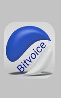 Bitvoice poster