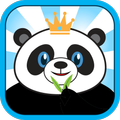 Slap Panda - kungfu training