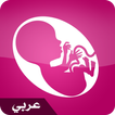 الحمل شهرا بشهر بالعربية