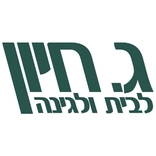 ג חיון