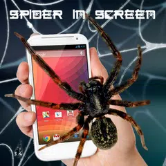 Spider grinder in screen funny