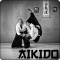 Aikido