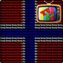 TV Norway  Guide  Free APK