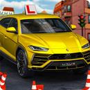 Dr Driving School 2018 - Traffic Rules APK