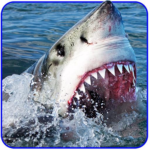 Angry Shark Attack Simulator - Adventure Game