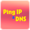 Ping test
