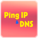 Ping test APK