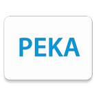 PEKA - wirtualny monitor 圖標