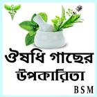 কোন রোগে কী ভেষজ উদ্ভিদ icon