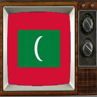 Satellite Maldives Info TV ポスター