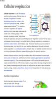 Poster Metabolism Anabolism Catabolism