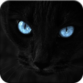 Black wallpaper