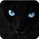 Black wallpaper APK