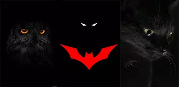 Black Wallpaper : Dark Background