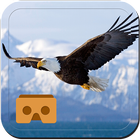 The Hawk VR Nature Flights icône
