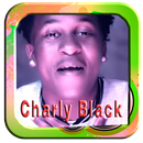 Charly Black Gyal You a Party APK