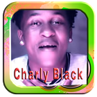 Charly Black Gyal You a Party icône