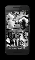 Black and White Camera Pro Affiche