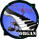 Pro Org Simulator APK