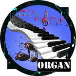 Pro Org Simulator
