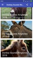 Donkey Sounds Ringtones 2018 الملصق