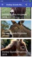 Donkey Sounds Ringtones 2018 Plakat