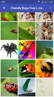 Friendly Bugs Free Live Wallpaper Cartaz