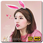 Bae Suzy Wallpaper Fans HD icono