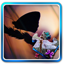 Butterfly Jigsaw Puzzle 01 APK