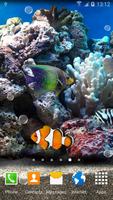 Coral Fish 3D Live Wallpaper captura de pantalla 2