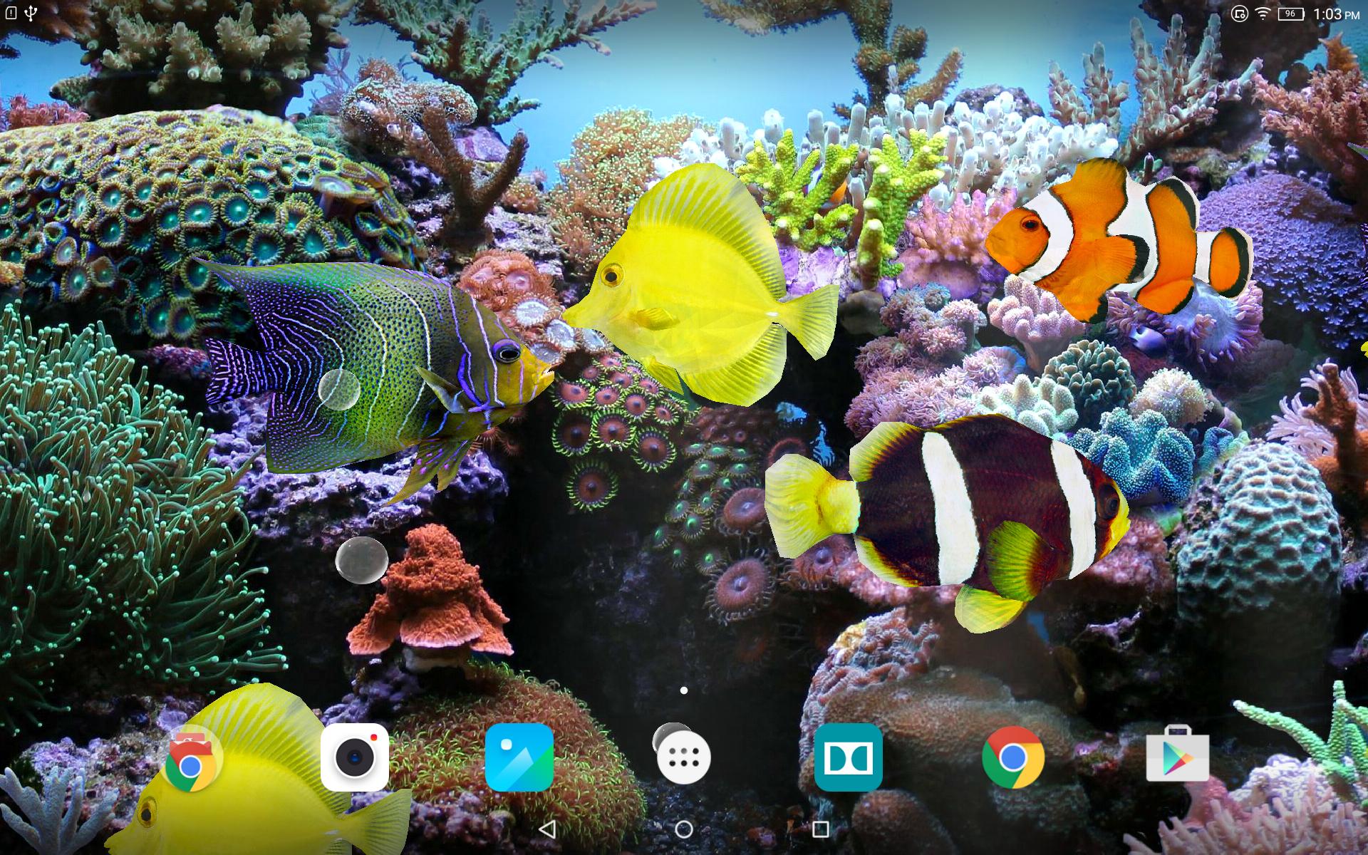 Coral Reef Aquarium 3d Animated Wallpaper Image Num 50