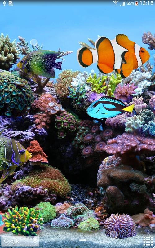 Coral Fish 3D Live Wallpaper APK Download - Free Personalization APP