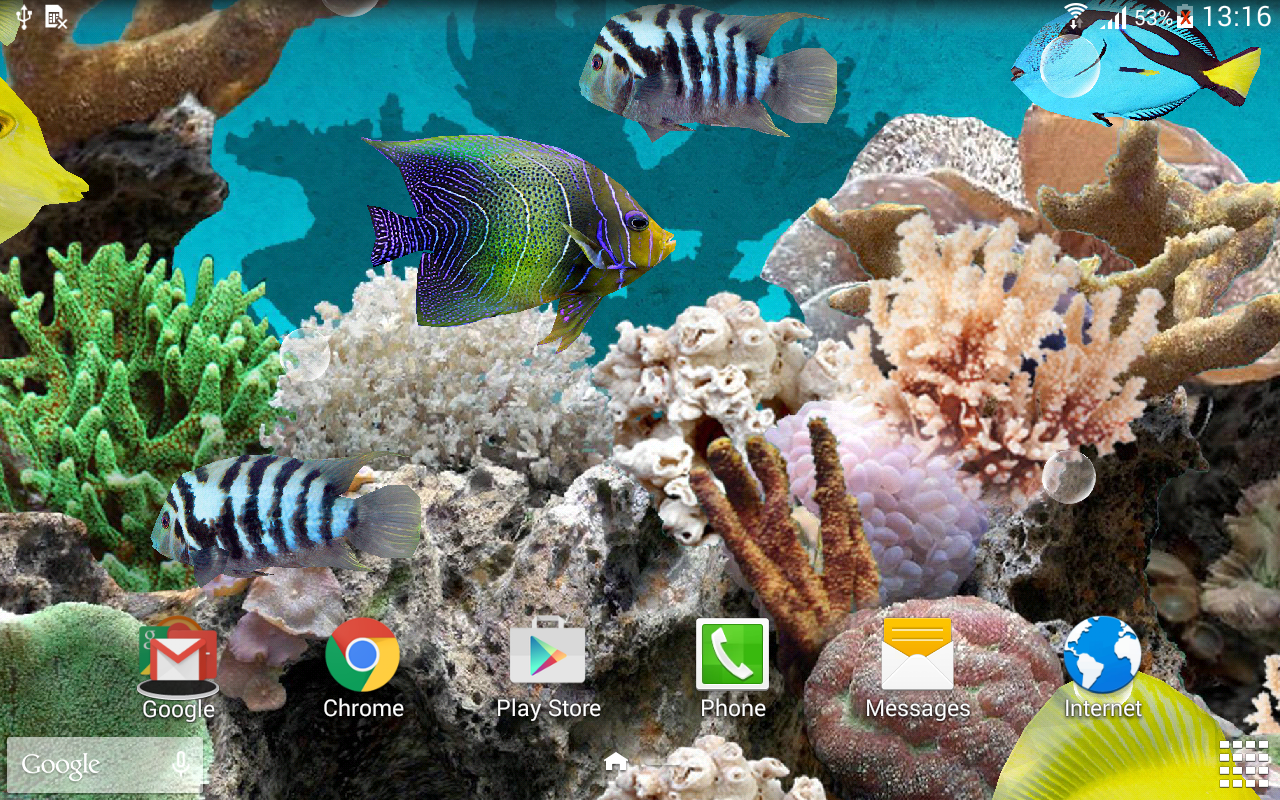 Coral Fish 3D Live Wallpaper APK for Android – Download Coral Fish 3D Live Wallpaper APK Latest Version from Coral Fish 3D Live Wallpaper APK for Android – Download Coral Fish 3D Live Wallpaper APK Latest Version from