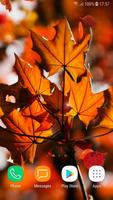 1 Schermata Autumn Live Wallpaper HD