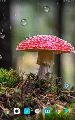 Baixar Autumn Live Wallpaper HD APK