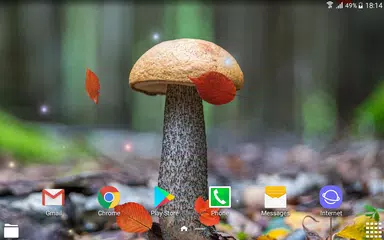 Baixar Autumn Live Wallpaper HD APK