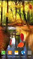 Осенний Лес Живые Обои постер
