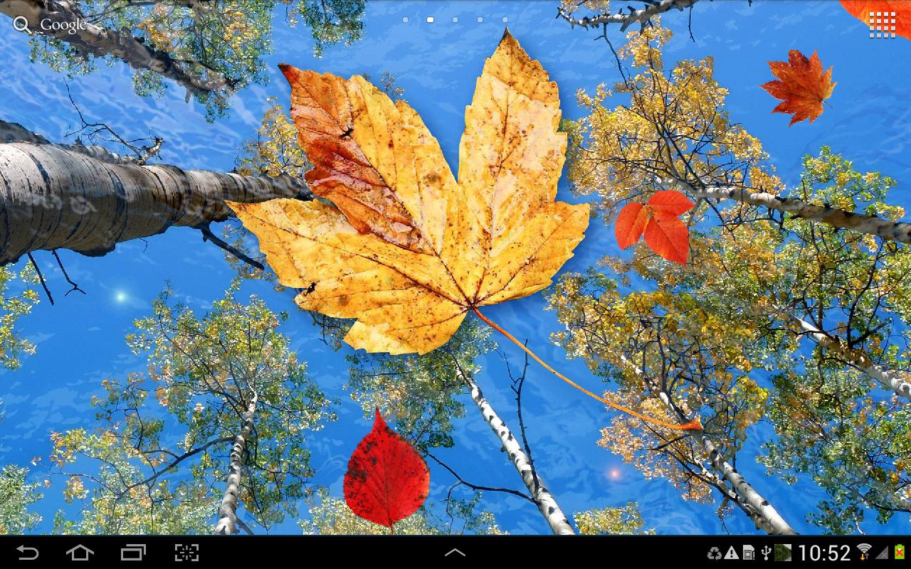 Autumn Leaves Live Wallpaper APK Download - Gratis ...