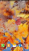 1 Schermata Autumn Live Wallpaper