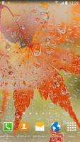 2 Schermata Autumn Live Wallpaper