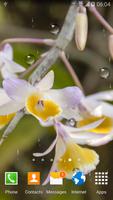 Orchids Live Wallpaper imagem de tela 2