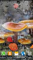 Mushrooms Live Wallpaper Affiche