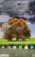 Spring Storm Live Wallpaper 截图 4