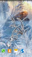 1 Schermata Winter Landscapes Wallpaper